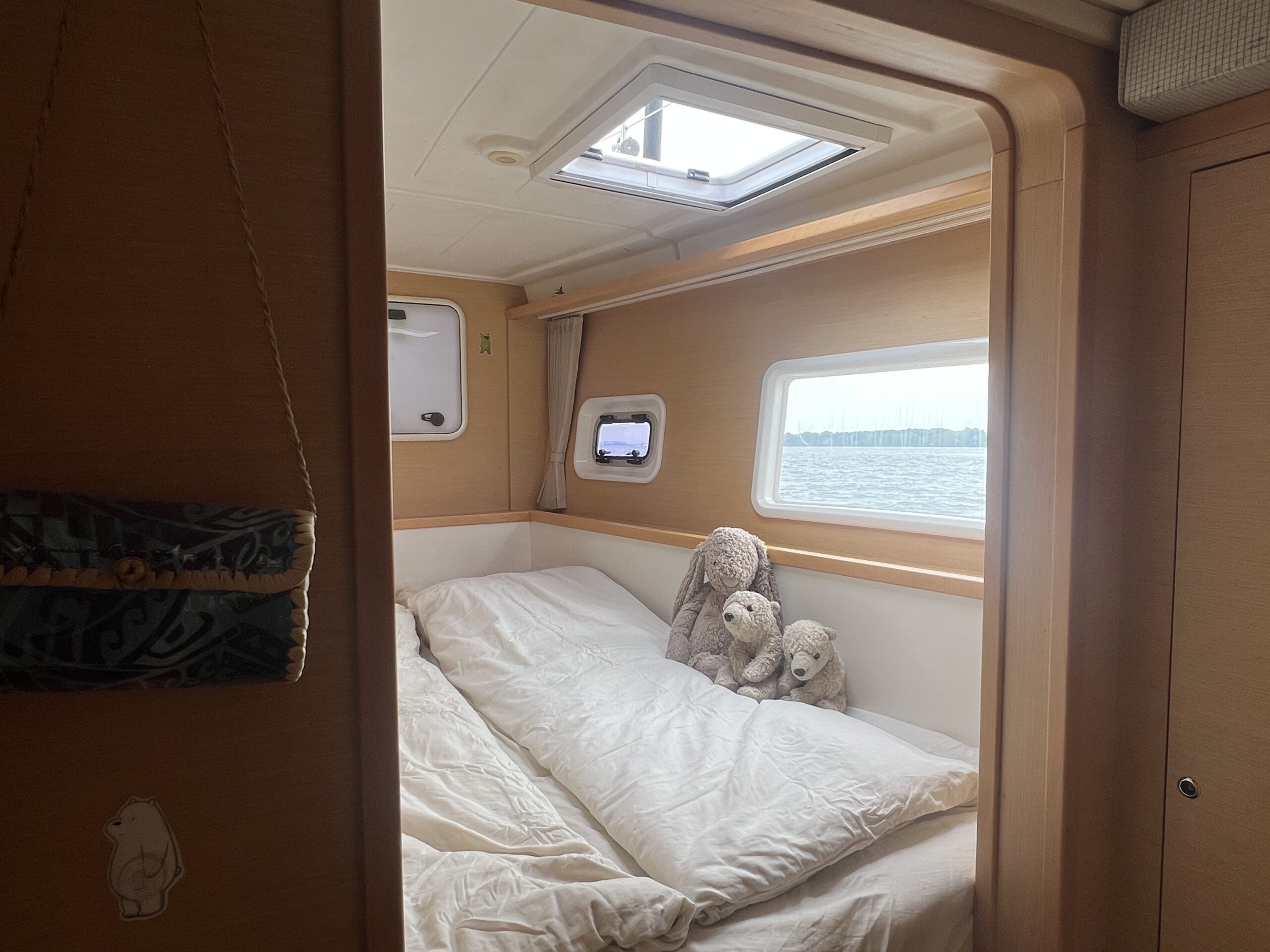 Elsa — 2017 Lagoon 400 S2 catamaran
